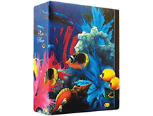 ���������� 200 ���� 10�15��, ������� ��������, �������� 325,68.jpg