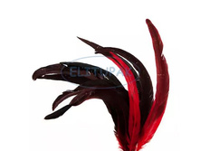 9913 ����� ��������� ����� ޣ���-������� 541�.JPG