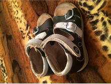 581c6cd789ac6 image.jpeg