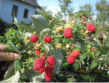 194���. ������ ����� ���17.jpg