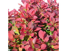 248���. �������� �������� �������� ���16.jpg