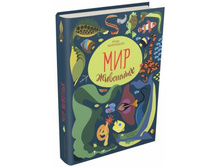 ��� ��������.�������� � �����,����������,���������