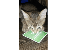 Screenshot 2016-11-13-22-32-21.png