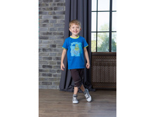 AZ-803  �������� 216 ����