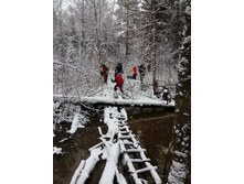 IMG 20161104 123924.jpg