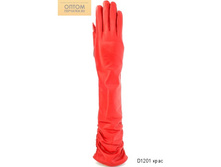 D1201 ����.jpg