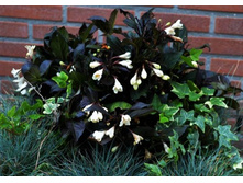 221���. ������� ��������� ����� ��� ������ ���17.jpg