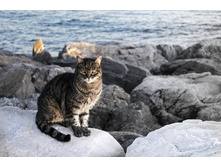 ���� ������!