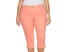 Plus Size Gloria Vanderbilt Jordyn Embroidered Denim Capris   $44.99