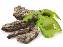 �������� ����.jpg