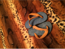 581c6cdbd28ba image.jpeg