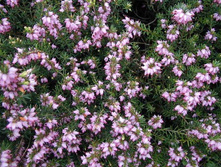 161���. ����� �������� ������ ����� ���17.JPG