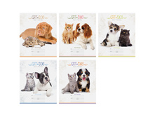 ������� 12�. ������ �������. Best friends 6,77.jpg