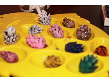 5497c1fceca47 img4746.JPG