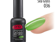 Sea-Grass 036.jpg