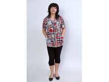 �0006, 230���, 46-52��.