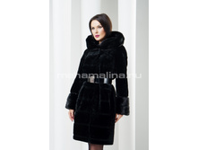 S-225 ���� �� ������ � ���������