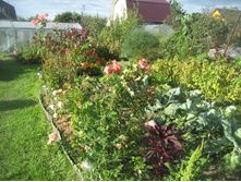 ����������� 008.jpg