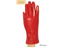 10004 ����.jpg