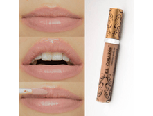 ������ ������ 242.png