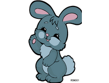 RSN001 %U00AC---.png