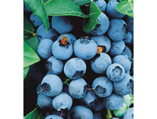 216���. �������� ��������� ���16.jpg