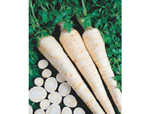 �������� �������� ��������,(��)4,60 ���. [���.1000039]