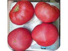 ����� ���� ������ F1 ������� 63,55 ���. [���.��000001377]