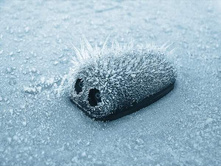 ���� ������!