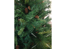 ������� �����