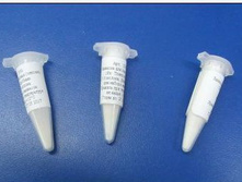 �������� ��� ������� (Streptococcus thermophilus) �� 10 � ������, ������-�������.jpg