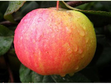 ������ ������ ������ (�������)-180�.jpg