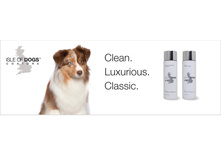 ��� �� ����