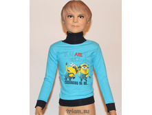 �������: 52733