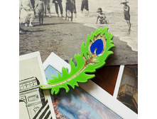 ����� ���� �������