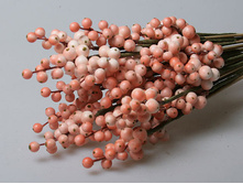 ������ ������������� ��������� 1016 65�.jpg