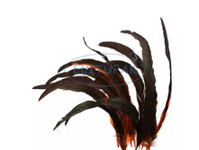 9911 ����� ��������� ����� ޣ���-��������� 541�.JPG