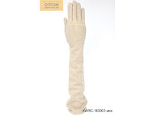 KWBC-160003 ���.jpg