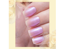 Poly-Chrome 333-60 ���.jpg