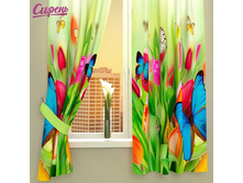 Siren fotoshtory 02302.jpg