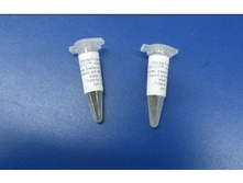 ������� P.roqueforti. PV CHOOZIT? - �������� ������� �������, ������-������� �� 200�.jpg