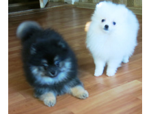 ������� 007.JPG