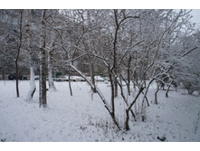 DSC08979.JPG