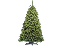 ��� ������������� ���������� ��������� 1,25 �, ������� 5040,5.jpg