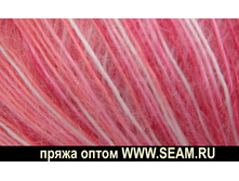 ������ ���� ����� ���� 332