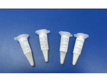 �������� ����� ������� Geotrichum Candidum �� 50 � ������.jpg