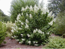 148���. ��������� ����������� ������� ���17.jpg