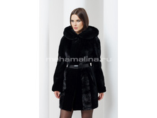 S-488 ���� �� ������