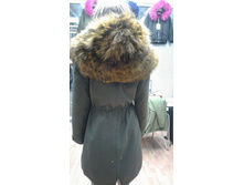 16029 ����.jpg