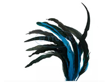 9914 ����� ��������� ����� ޣ���-����� 541�.JPG